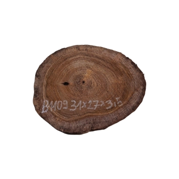 Plaster Orzecha Włoskiego 31x27x3,5cm