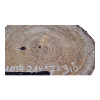 Plaster Orzecha Włoskiego 31x27x3,5cm