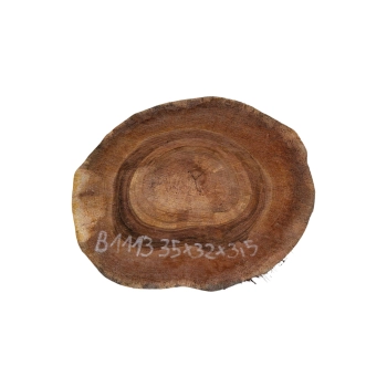 Plaster Orzecha Włoskiego 35x32x3,5cm