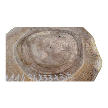 Plaster Orzecha Włoskiego 36x33x3,5cm
