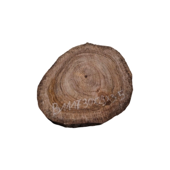 Plaster Orzecha Włoskiego 30x29x3,5cm