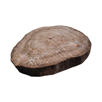 Plaster Orzecha Włoskiego 32x29x3,5cm