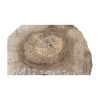 Plaster Orzecha Włoskiego 27x27x3,5cm
