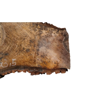 Plaster Orzecha Włoskiego 43x26x3,5cm