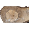Plaster Orzecha Włoskiego 43x25x3,5cm