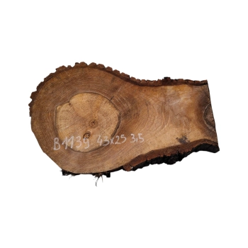 Plaster Orzecha Włoskiego 43x25x3,5cm