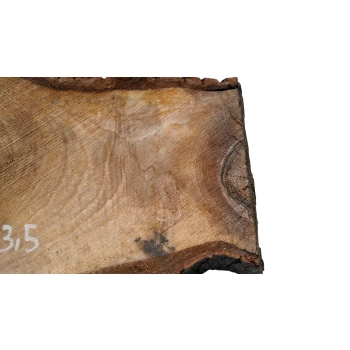 Plaster Orzecha Włoskiego 43x25x3,5cm
