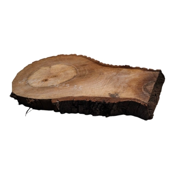 Plaster Orzecha Włoskiego 43x25x3,5cm