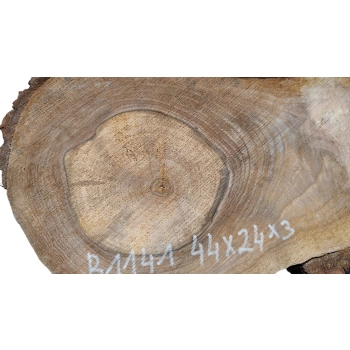 Plaster Orzecha Włoskiego 44x24x3cm