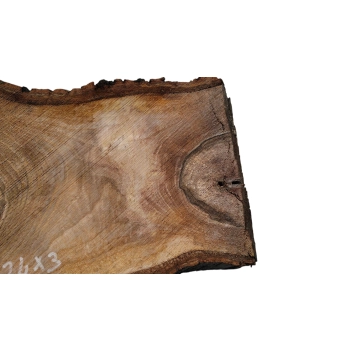 Plaster Orzecha Włoskiego 44x24x3cm
