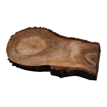 Plaster Orzecha Włoskiego 44x24x3cm