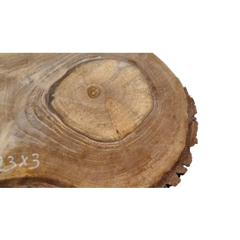 Plaster Orzecha Włoskiego 46x23x3cm