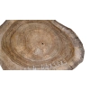 Plaster Orzecha Włoskiego 44x33x3cm