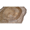 Plaster Orzecha Włoskiego 38x33x3cm