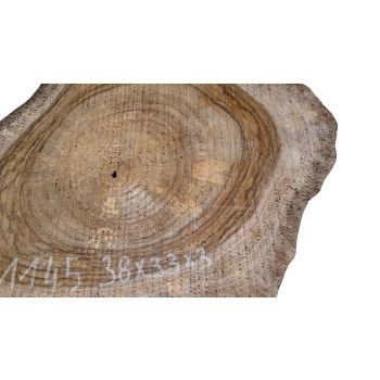 Plaster Orzecha Włoskiego 38x33x3cm