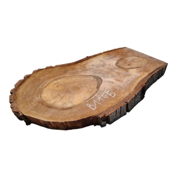 Plaster Orzecha Włoskiego 47x24x3cm