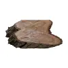 Plaster Orzecha Włoskiego 40x50x5cm