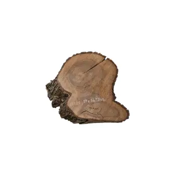 Plaster Orzecha Włoskiego 40x50x5cm