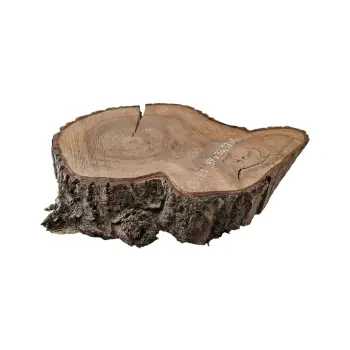 Plaster Orzecha Włoskiego 40x50x5cm