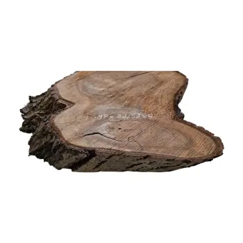 Plaster Orzecha Włoskiego 40x50x5cm