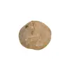 Plaster Jawora 35x32x4cm