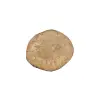 Plaster Jawora 34x31x4cm
