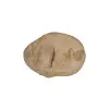 Plaster Jawora 36x26x4cm