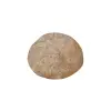 Plaster Jawora 36x32x4cm