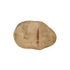 Plaster Jawora 38x26x4cm