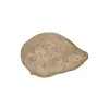 Plaster Jawora 40x28x4cm