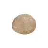 Plaster Jawora 37x32x4cm