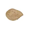 Plaster Jawora 40x29x4cm
