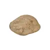 Plaster Jawora 39x28x4cm