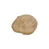 Plaster Jawora 33x28x4cm