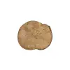 Plaster Jawora 35x30x4cm