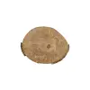 Plaster Jawora 31x25x3cm