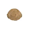 Plaster Jawora 29x25x3cm