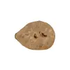 Plaster Jawora 33x25x3cm
