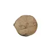 Plaster Jawora 29x27x4cm