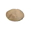 Plaster Jawora 31x22x3,5cm