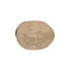 Plaster Jawora 28x22x3,5cm