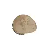 Plaster Jawora 25x21x3,5cm