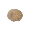 Plaster Jawora 41x35x6cm