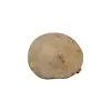 Plaster Jawora 38x33x3,5cm