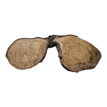 Plaster Orzecha Włoskiego 80x28/35x4cm