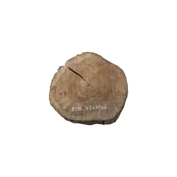 Plaster Orzecha Włoskiego 42x41x6cm