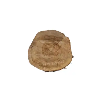 Plaster Orzecha Włoskiego 43x42x5cm