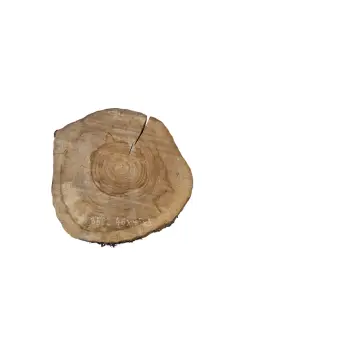 Plaster Orzecha Włoskiego 46x45x5cm