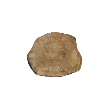 Plaster Orzecha Włoskiego 51x49x6cm