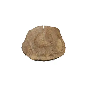 Plaster Orzecha Włoskiego 49x47x7,5cm